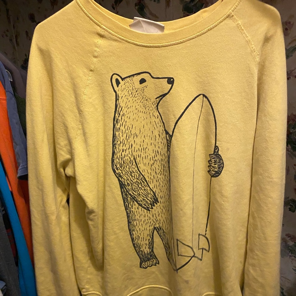 Two men’s hollister sweatshirts